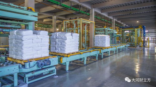 技術(shù)突破壁壘，銷量問(wèn)鼎國(guó)內(nèi) 細(xì)分冠軍以國(guó)內(nèi)貿(mào)易代理重構(gòu)增長(zhǎng)新格局