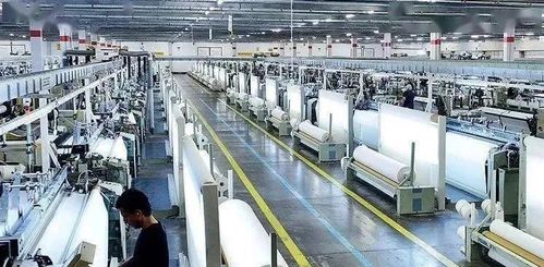 國(guó)內(nèi)貿(mào)易代理新機(jī)遇 面料企業(yè)如何在夾縫中求生與突圍